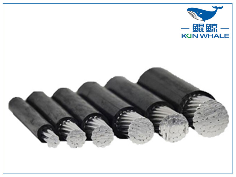 河南太平洋圖片